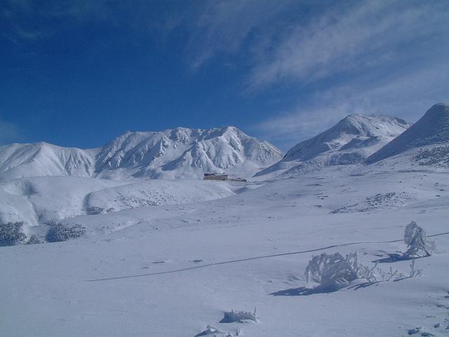 e0010134_7515852.jpg
