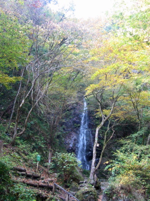 d0085939_63792.jpg