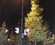 c0046340_2138618.jpg
