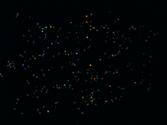 e0005548_1103376.gif