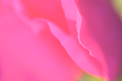 a0024250_3463139.jpg