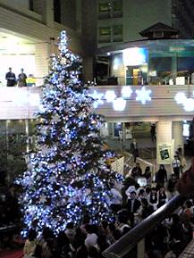 f0063651_19395852.jpg