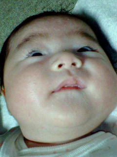 c0003752_221725100.jpg