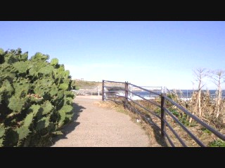 f0082052_1732861.jpg
