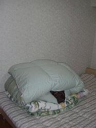 c0015354_18113830.jpg