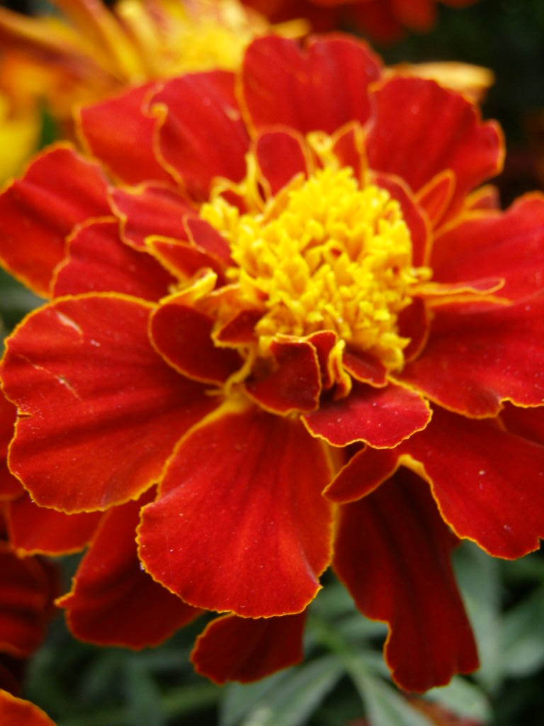 e0064158_0545936.jpg