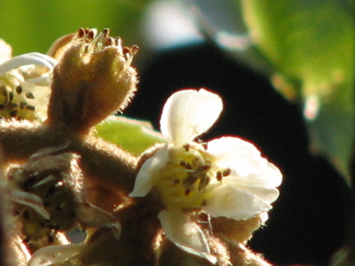 d0050472_17445481.jpg