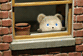 f0047884_12213050.gif