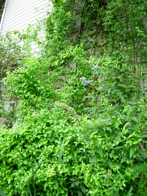 e0008586_22295763.jpg