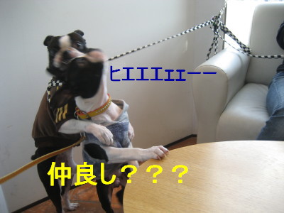c0092787_11523845.jpg
