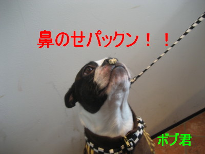 c0092787_11583778.jpg