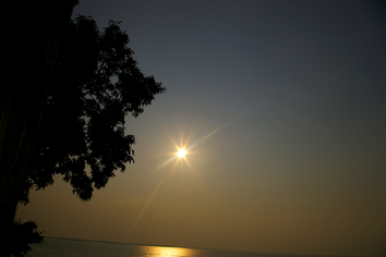 d0013887_2074548.jpg