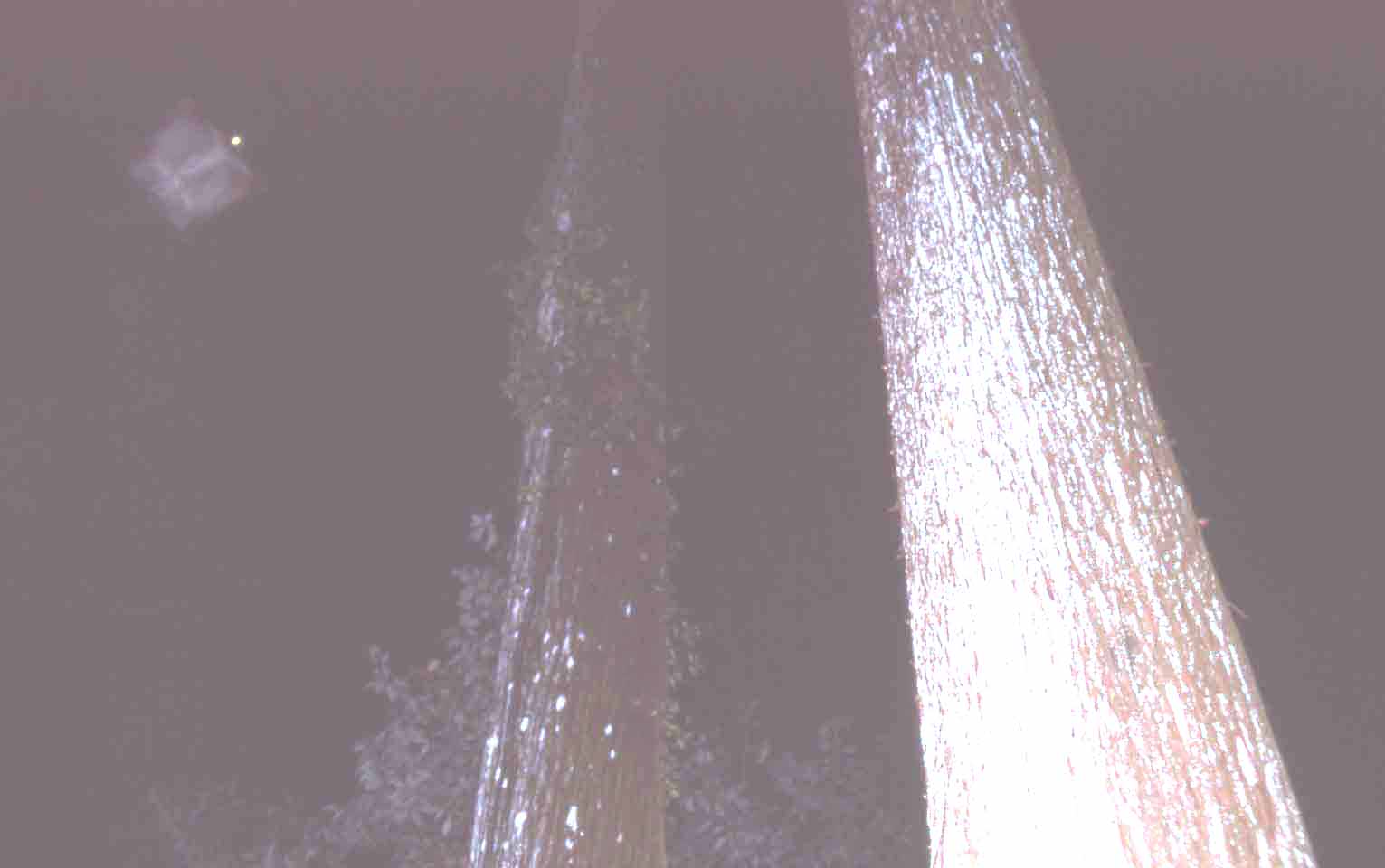 f0047593_14325583.jpg