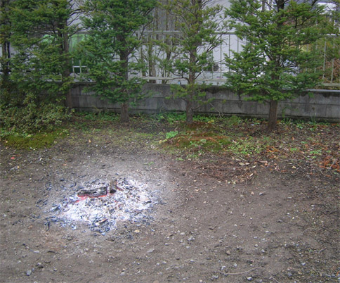 f0108399_112031.jpg