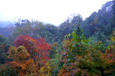 f0036700_15574455.jpg