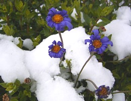 f0032403_20264671.jpg