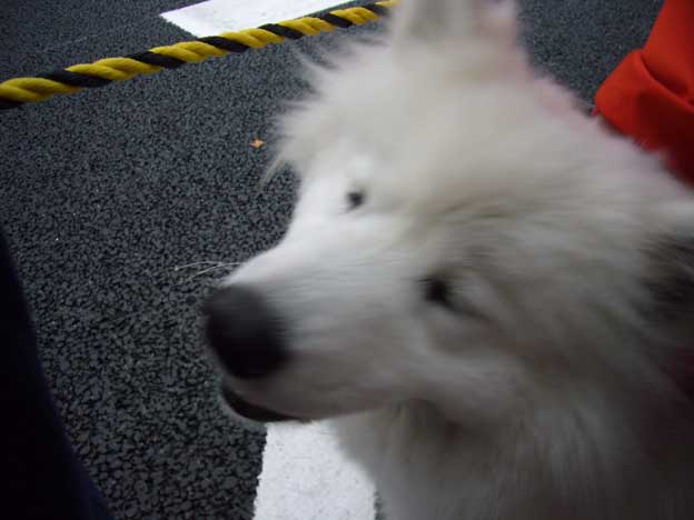 e0018604_1629196.jpg