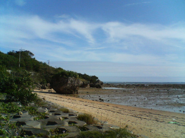 a0082706_22192736.jpg