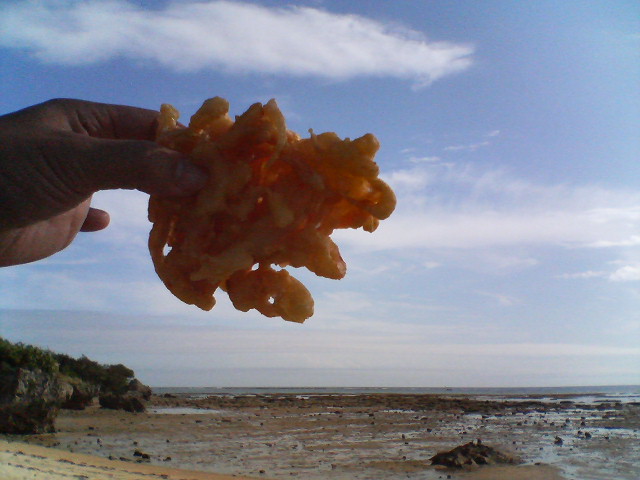 a0082706_22312671.jpg