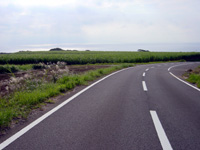 b0076710_1603582.jpg