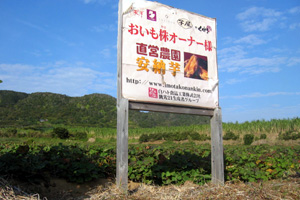 b0076710_160468.jpg