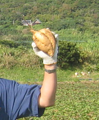 b0076710_16283751.jpg