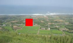 b0076710_1663162.jpg
