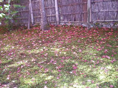 c0086014_10372573.jpg