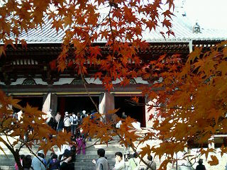 b0019820_22591229.jpg