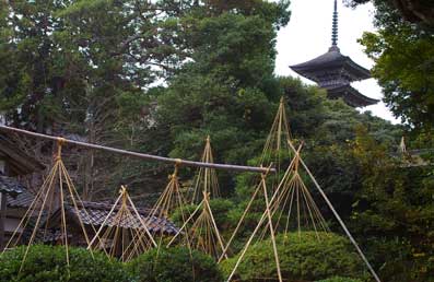 c0098228_8515355.jpg