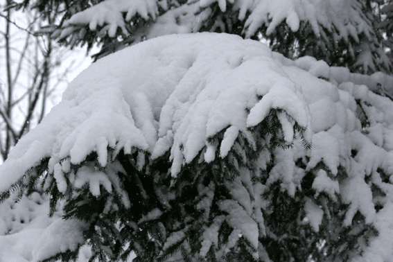 d0069235_19524029.gif