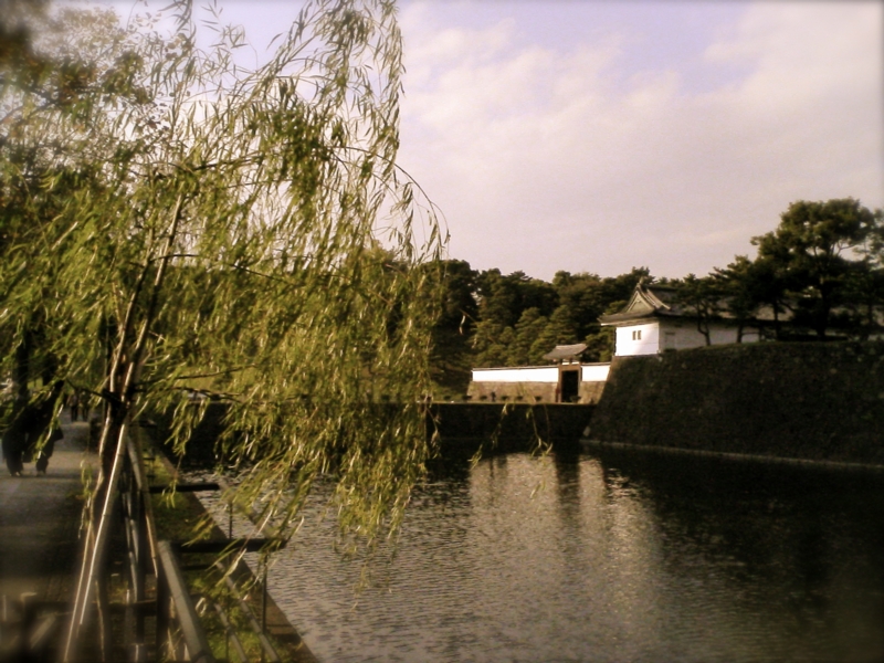 a0072337_13165946.jpg