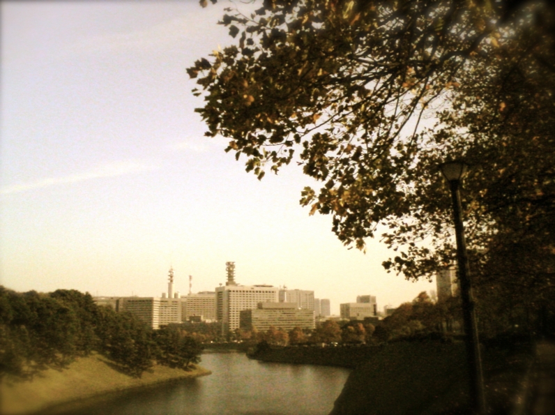 a0072337_1316687.jpg