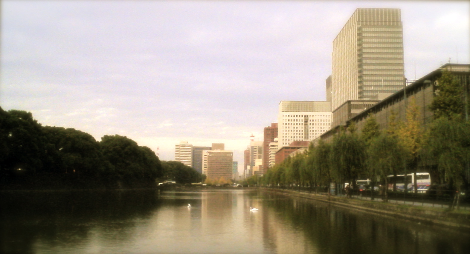 a0072337_186911.jpg