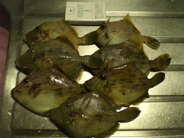 f0009238_207831.jpg
