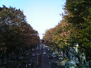e0087443_0321610.jpg