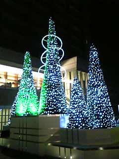 e0087443_0341177.jpg