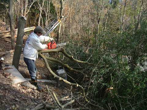 f0090444_21371314.jpg
