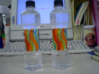 b0001453_21405324.jpg