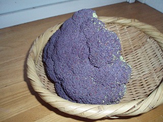 e0004756_20154226.jpg