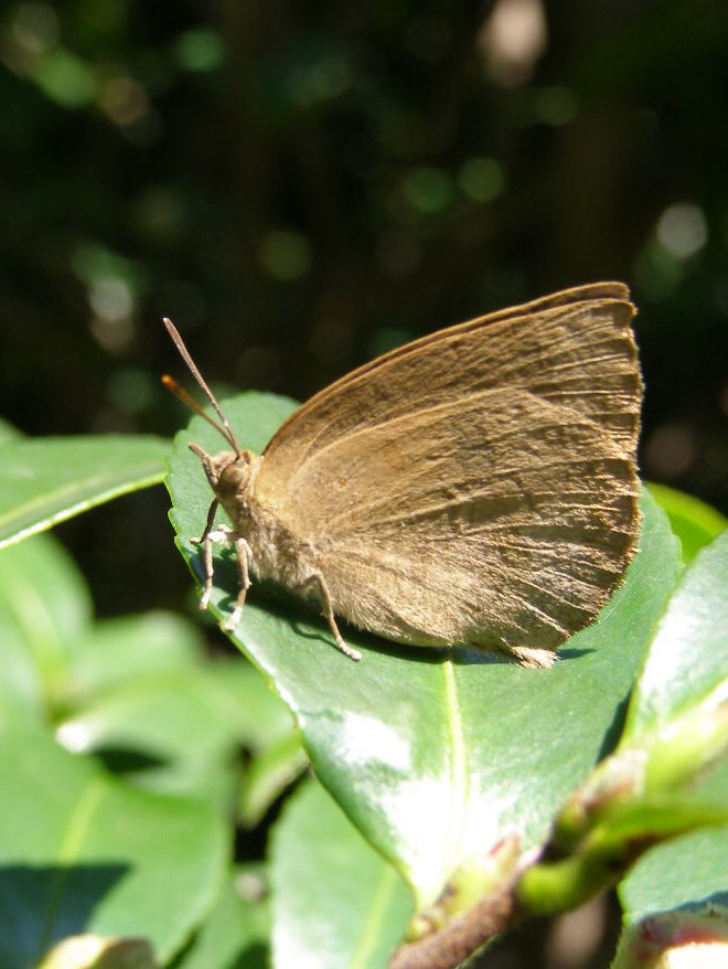 e0064158_0522766.jpg