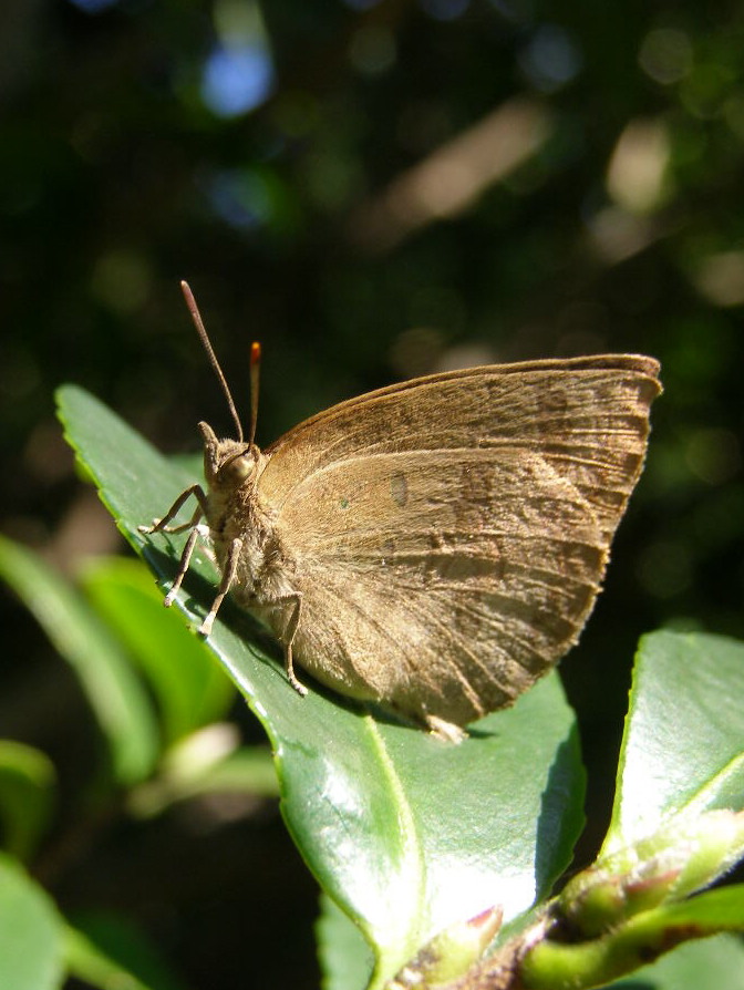 e0064158_0524998.jpg