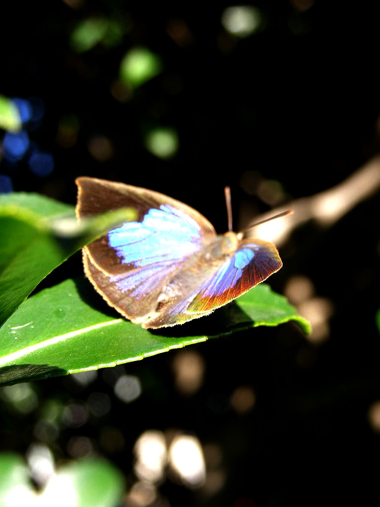 e0064158_0533582.jpg