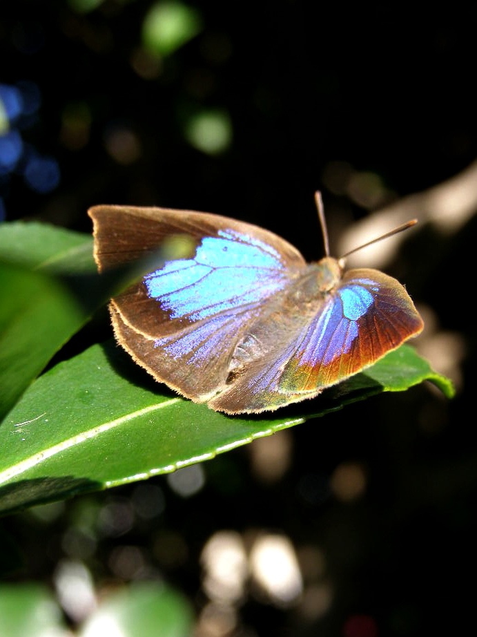 e0064158_053517.jpg