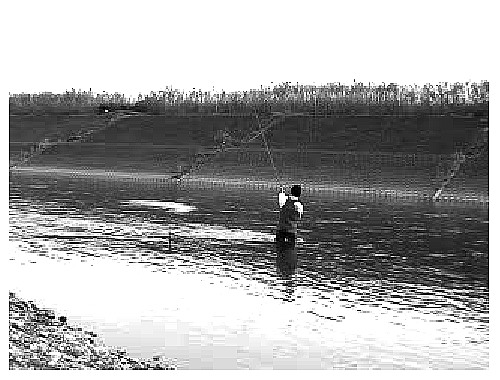 f0084561_17531899.jpg