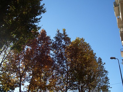 e0066062_8223736.jpg