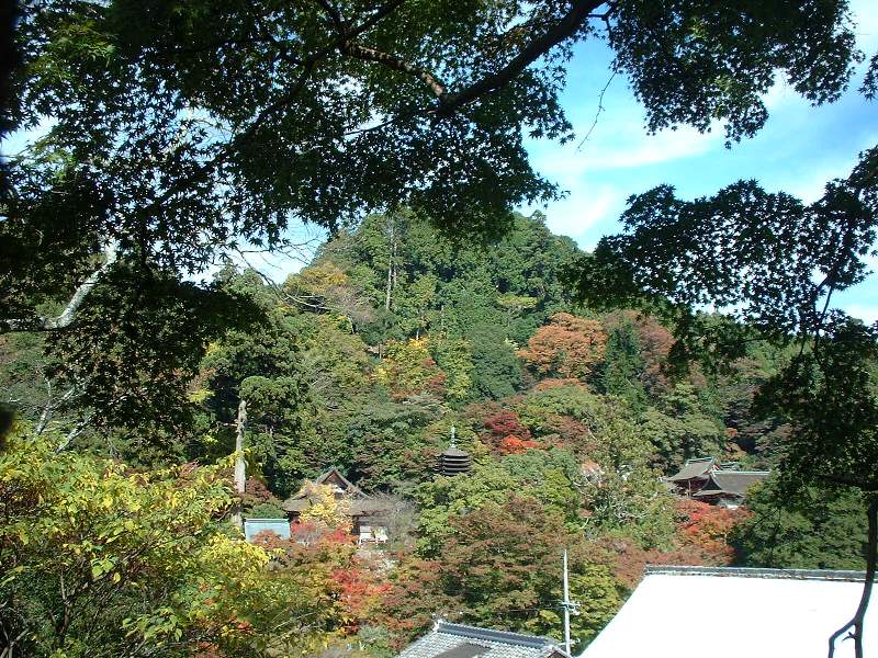 b0032167_0581336.jpg