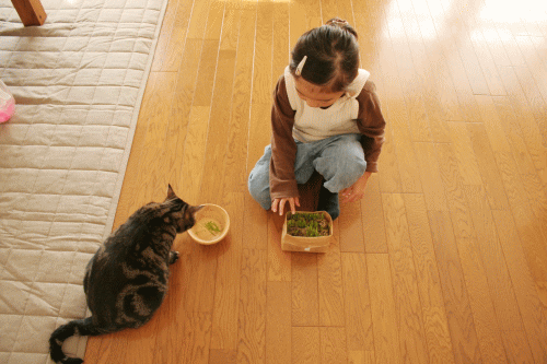 c0020571_23424285.gif