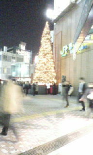 b0096080_8512570.jpg