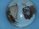 f0015381_22453555.jpg